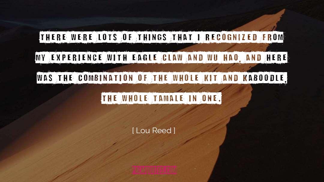 Kaboodle quotes by Lou Reed