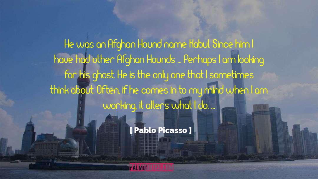 Kabul quotes by Pablo Picasso
