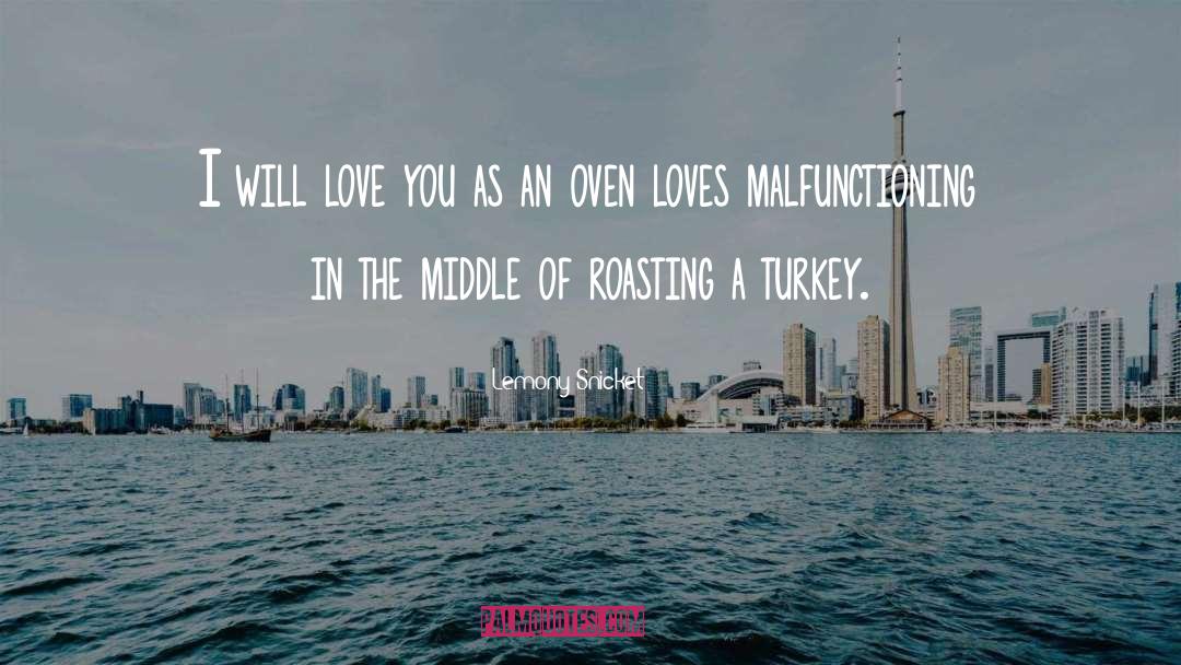Kahta Turkey quotes by Lemony Snicket