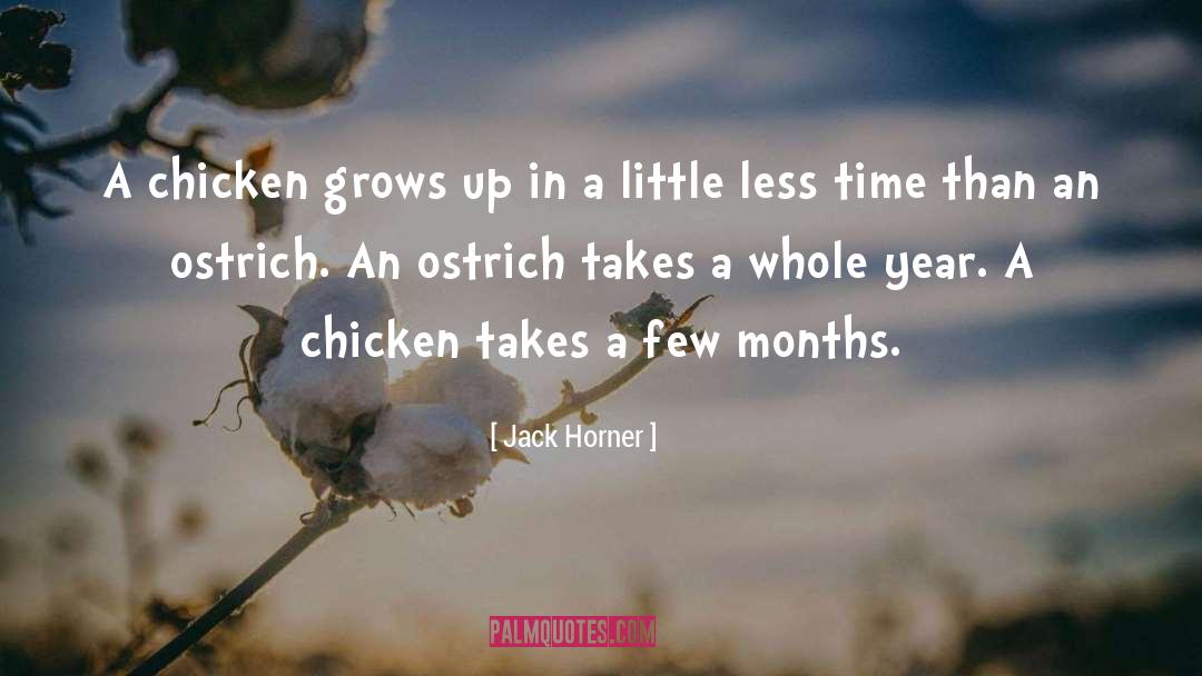 Kains Chicken quotes by Jack Horner