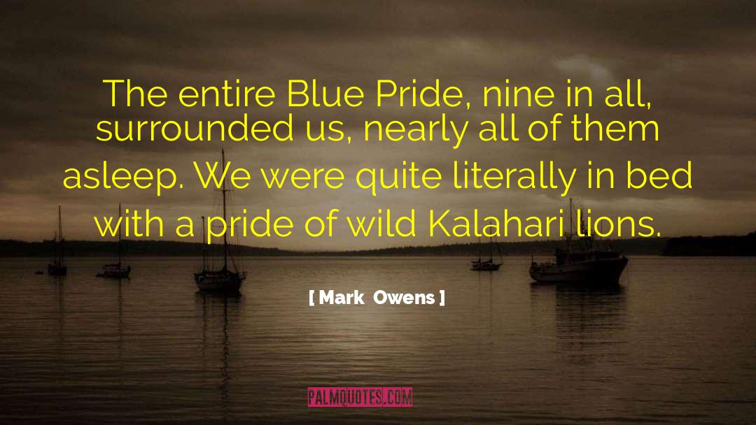 Kalahari quotes by Mark  Owens