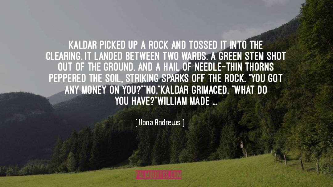 Kaldar S Sur quotes by Ilona Andrews