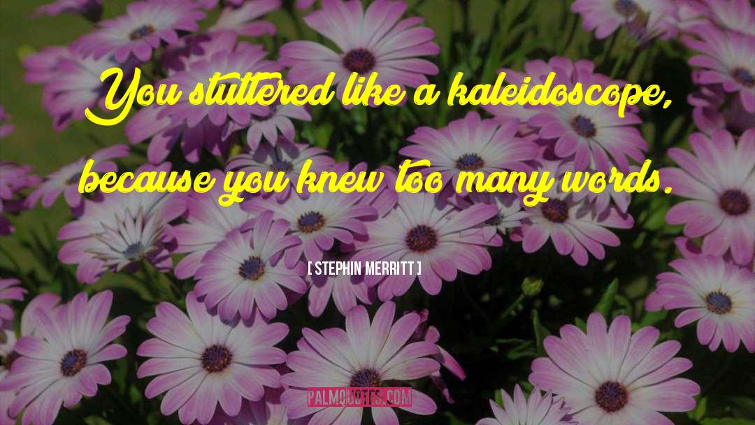 Kaleidoscope quotes by Stephin Merritt