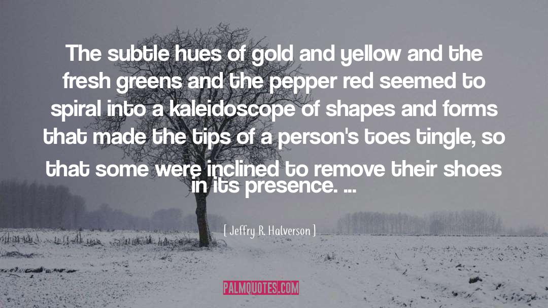 Kaleidoscope quotes by Jeffry R. Halverson