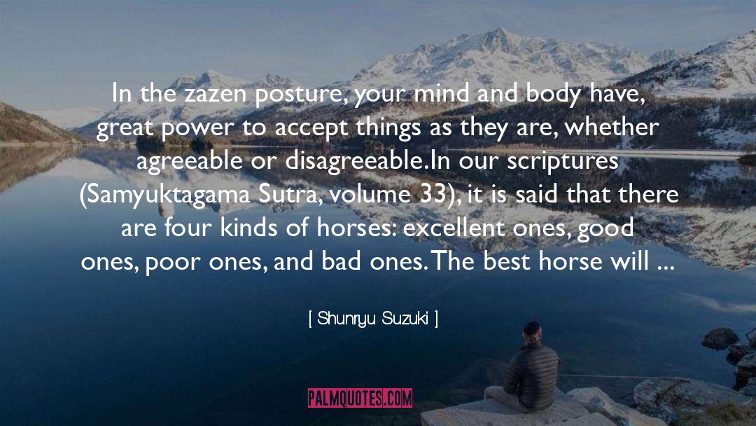 Kama Sutra quotes by Shunryu Suzuki