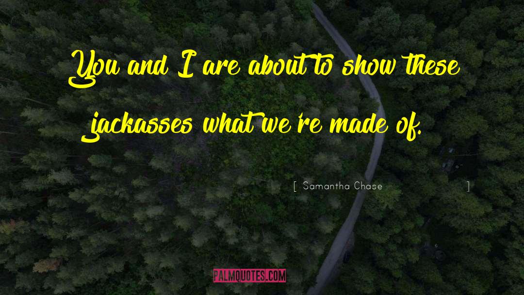 Kameran Chase quotes by Samantha Chase