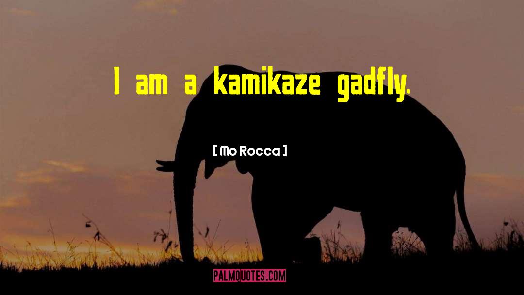 Kamikaze quotes by Mo Rocca
