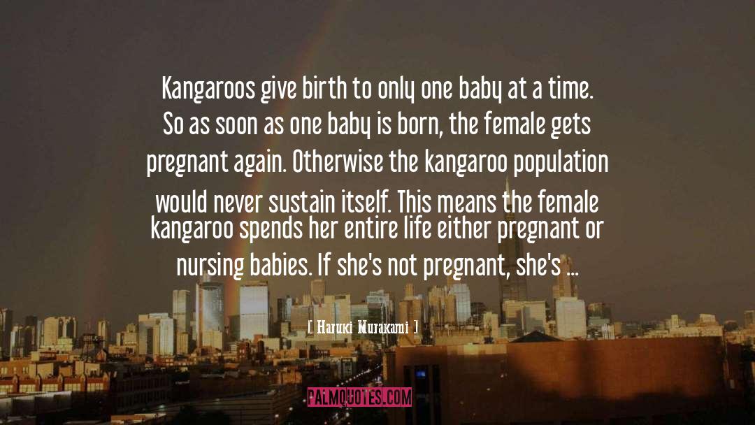 Kangaroos quotes by Haruki Murakami