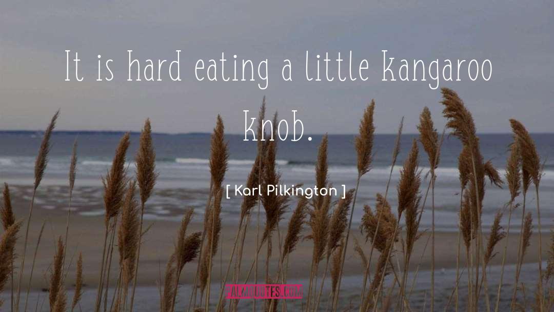 Kangaroos quotes by Karl Pilkington