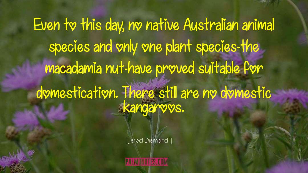 Kangaroos quotes by Jared Diamond