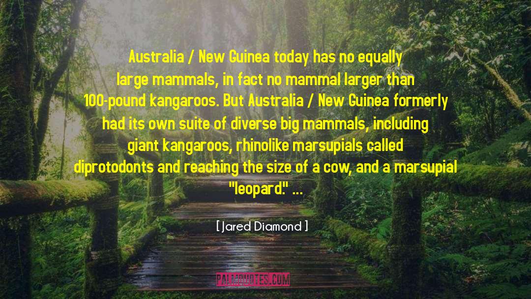 Kangaroos quotes by Jared Diamond