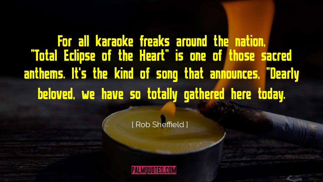 Karaoke quotes by Rob Sheffield