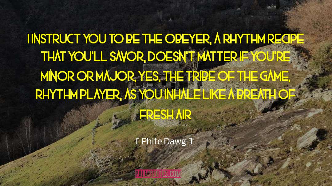 Karasev Recipe quotes by Phife Dawg