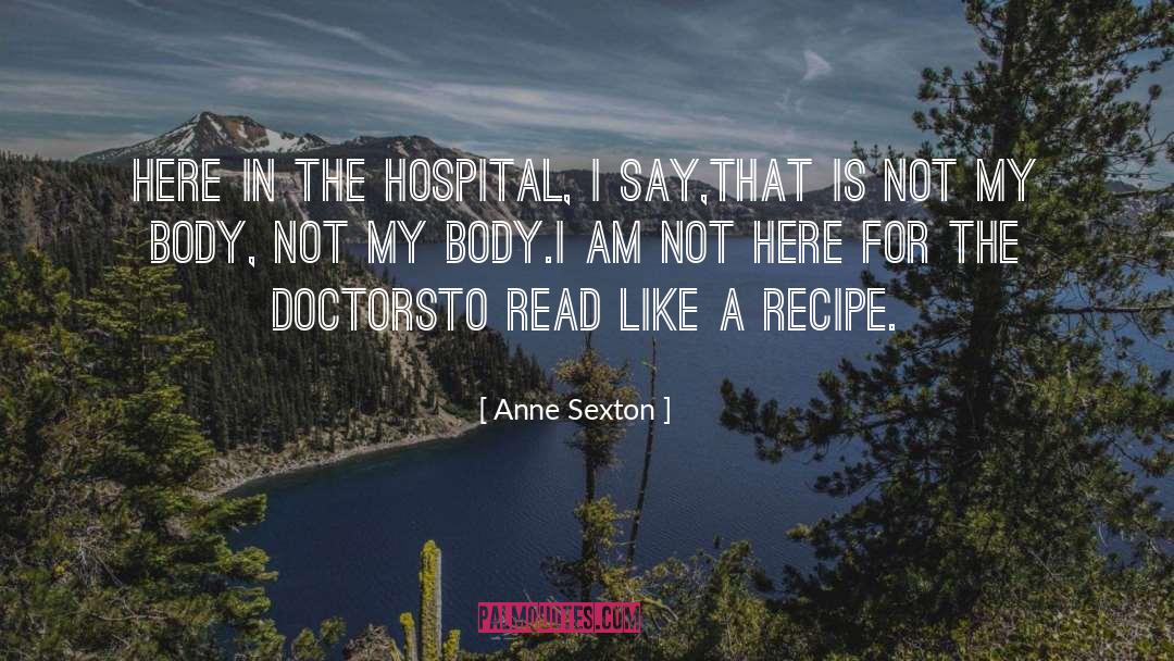 Karasev Recipe quotes by Anne Sexton