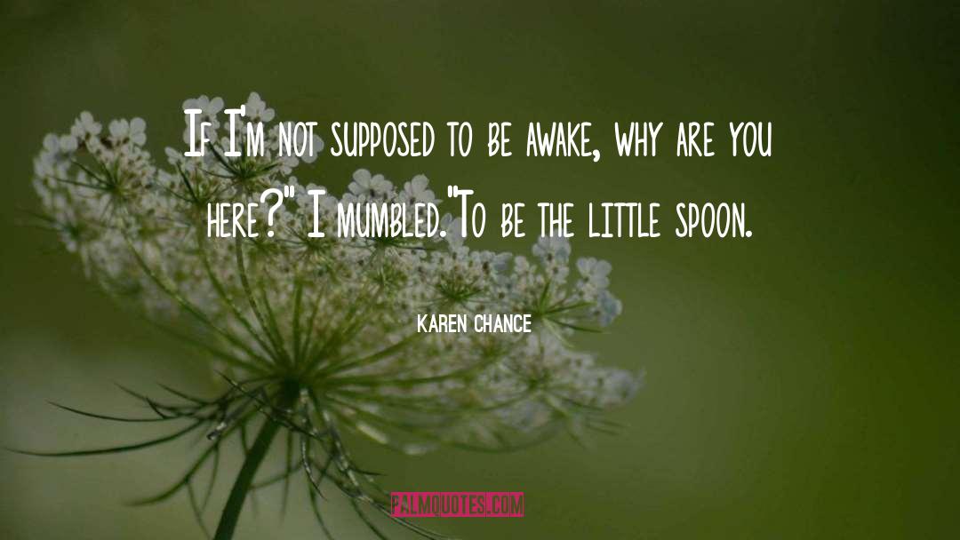 Karen Chance quotes by Karen Chance