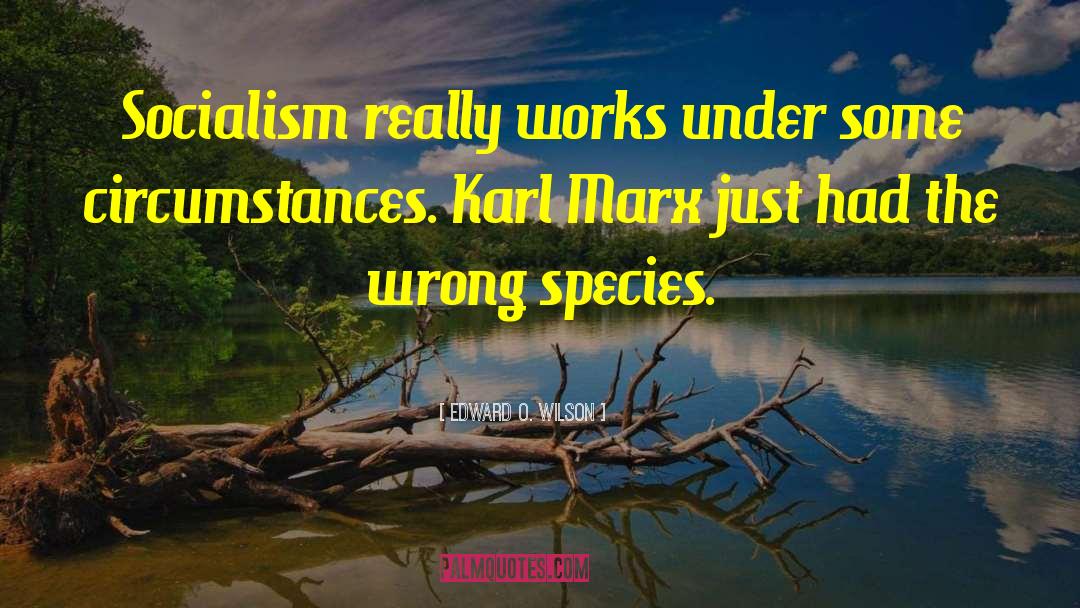 Karl Marx quotes by Edward O. Wilson