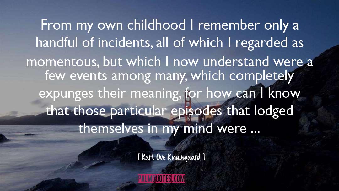 Karl Ove Knausg C3 A5rd quotes by Karl Ove Knausgaard