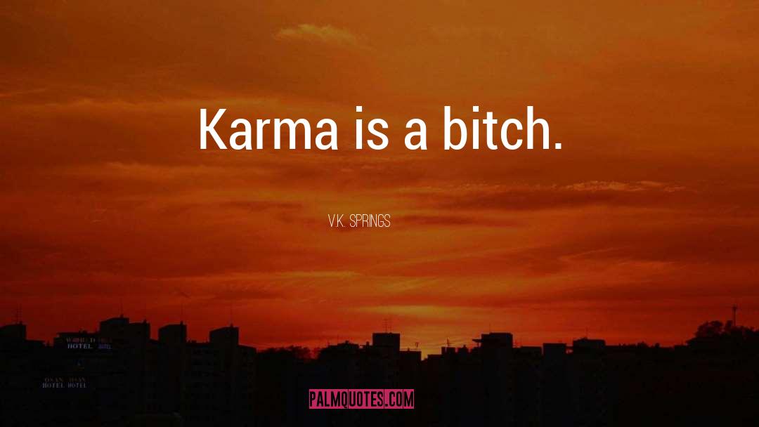 Karma Is A Bitch quotes by V.K. Springs