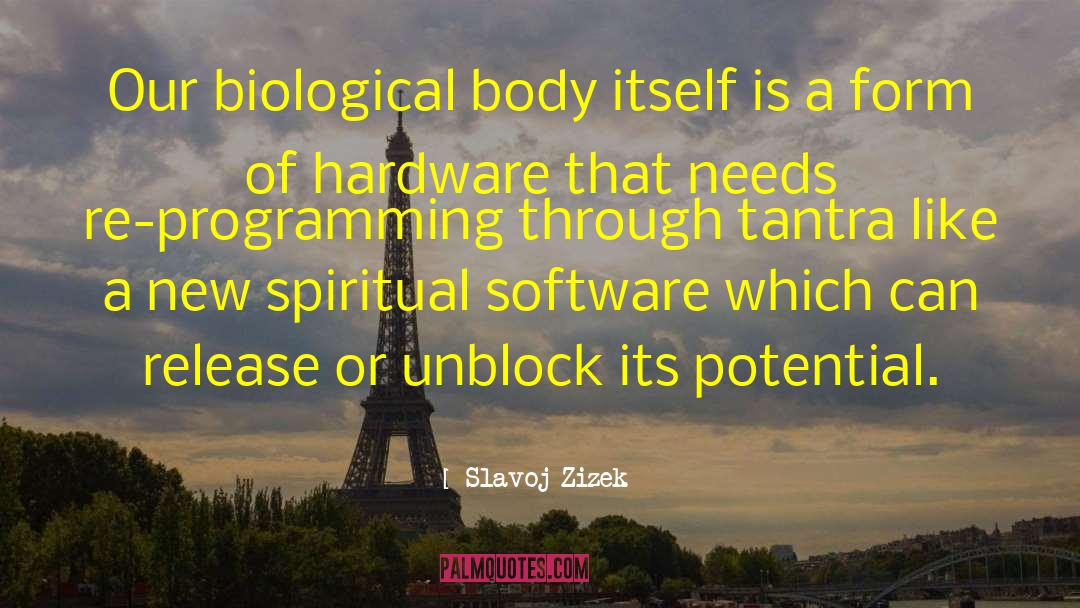 Karpodinis Software quotes by Slavoj Zizek