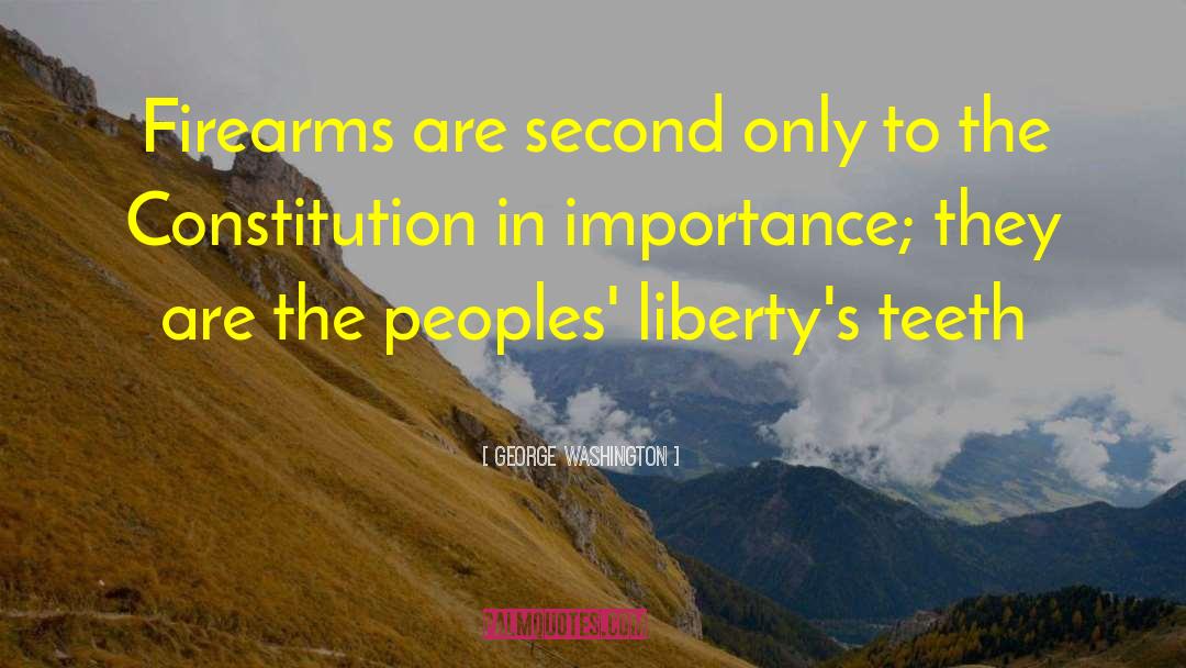 Karris Firearms quotes by George Washington