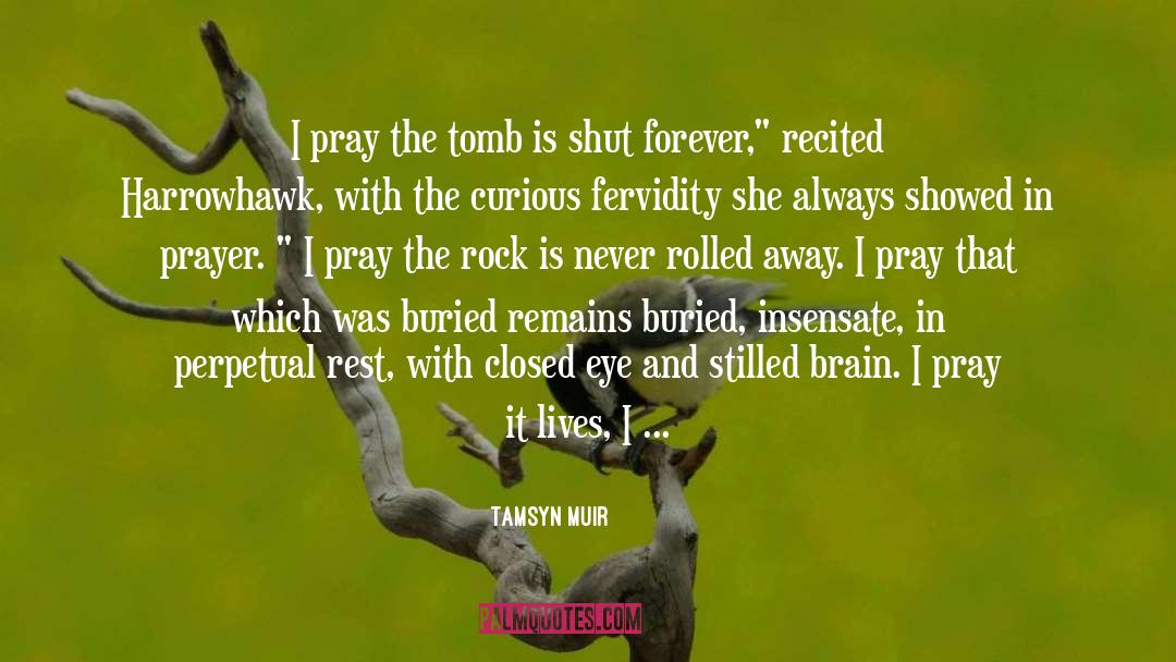 Kashmir Unrest 2016 quotes by Tamsyn Muir