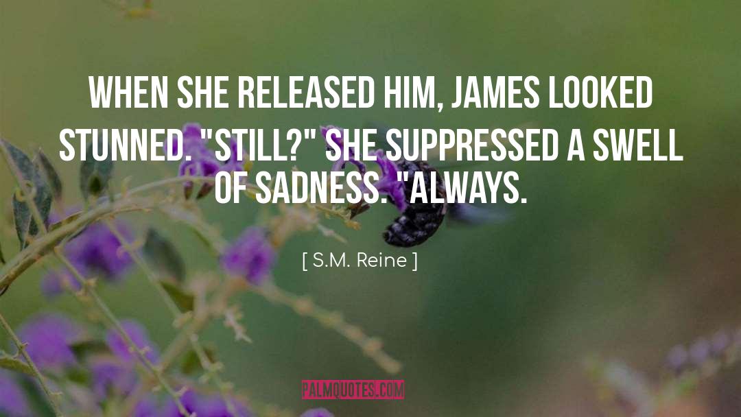 Kasters quotes by S.M. Reine