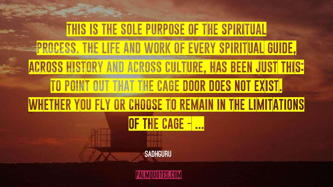 Kate Baggott S Guide To Life quotes by Sadhguru