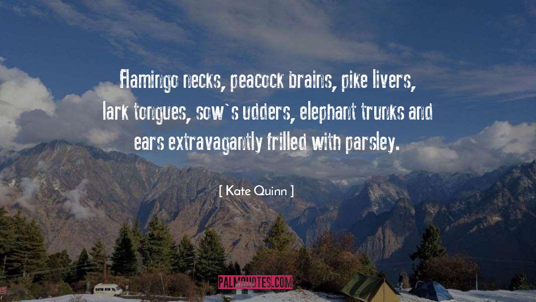 Kate Quinn quotes by Kate Quinn