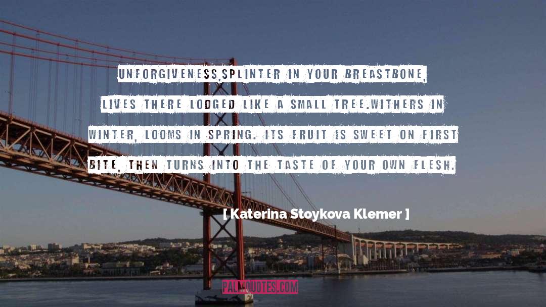 Katerina quotes by Katerina Stoykova Klemer