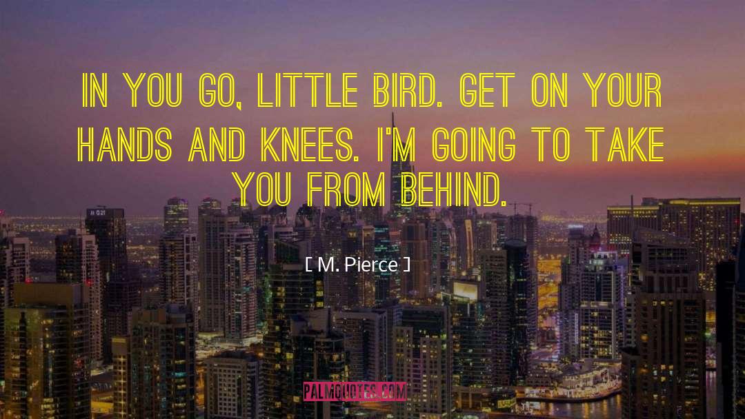 Katherine Pierce quotes by M. Pierce