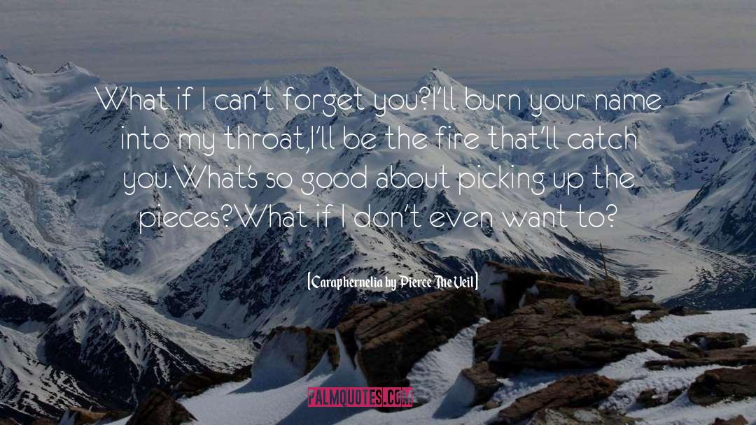 Katherine Pierce quotes by Caraphernelia By Pierce The Veil