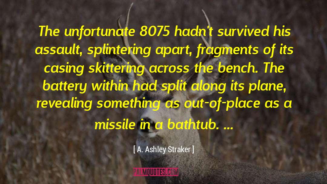 Katie Ashley quotes by A. Ashley Straker