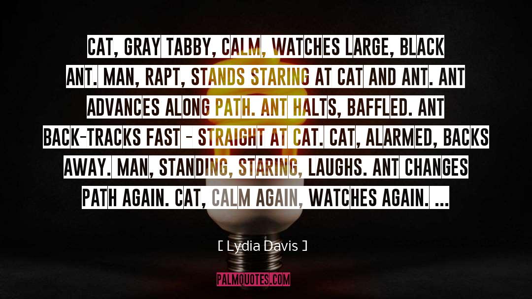 Katie Cat quotes by Lydia Davis