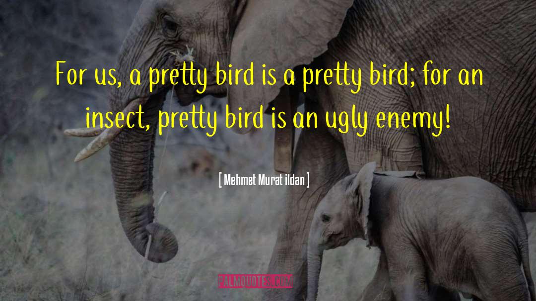 Kaytee Bird quotes by Mehmet Murat Ildan