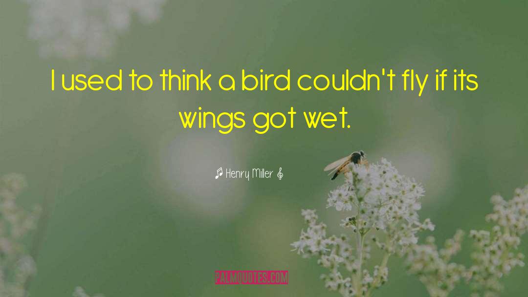 Kaytee Bird quotes by Henry Miller