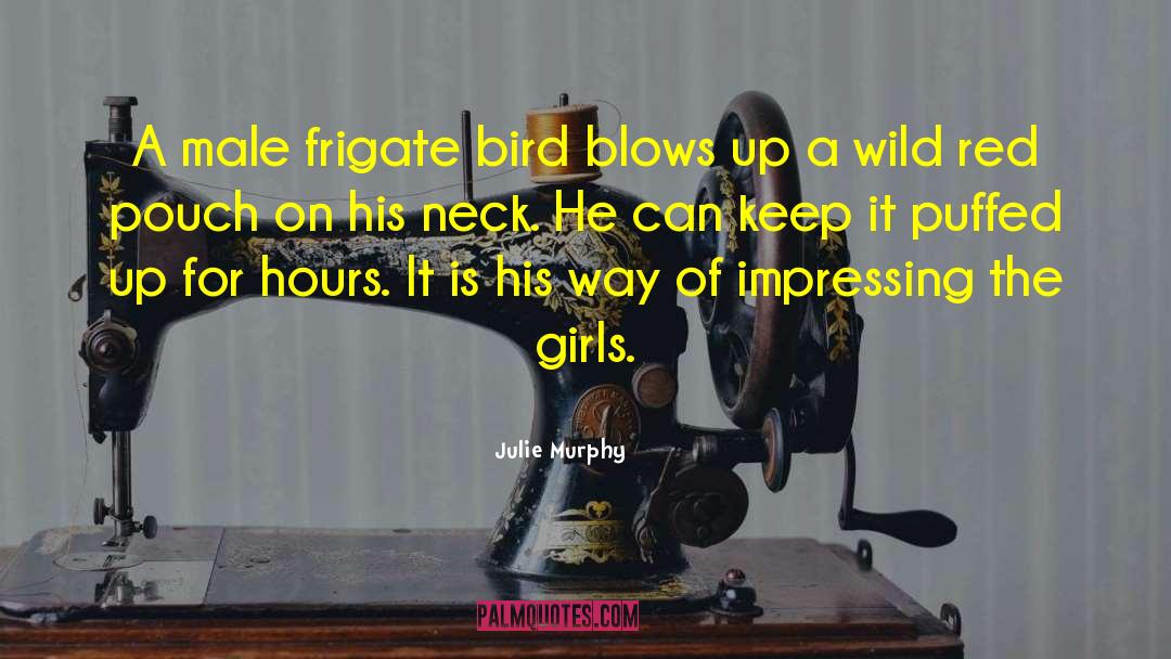 Kaytee Bird quotes by Julie Murphy