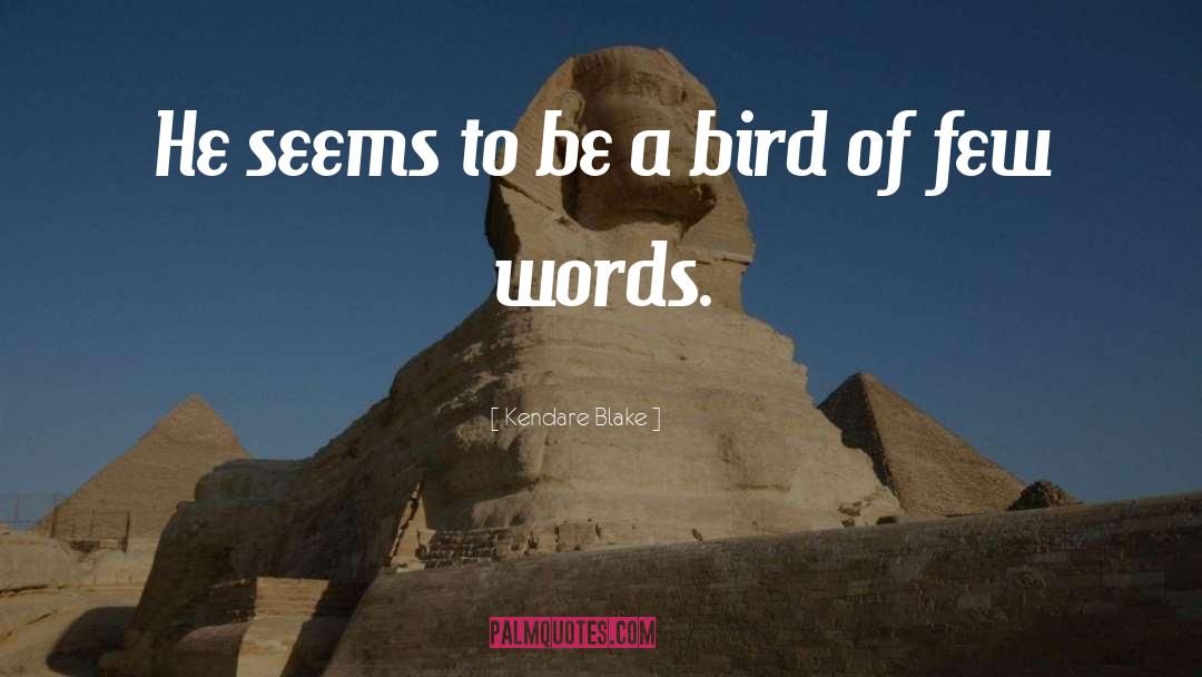 Kaytee Bird quotes by Kendare Blake