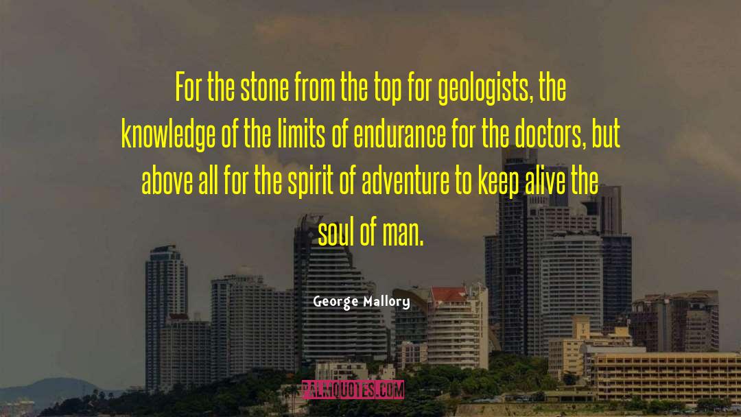 Keep Alive quotes by George Mallory