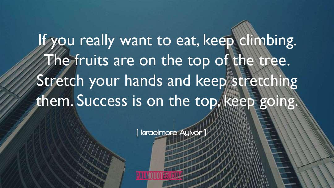 Keep Climbing quotes by Israelmore Ayivor