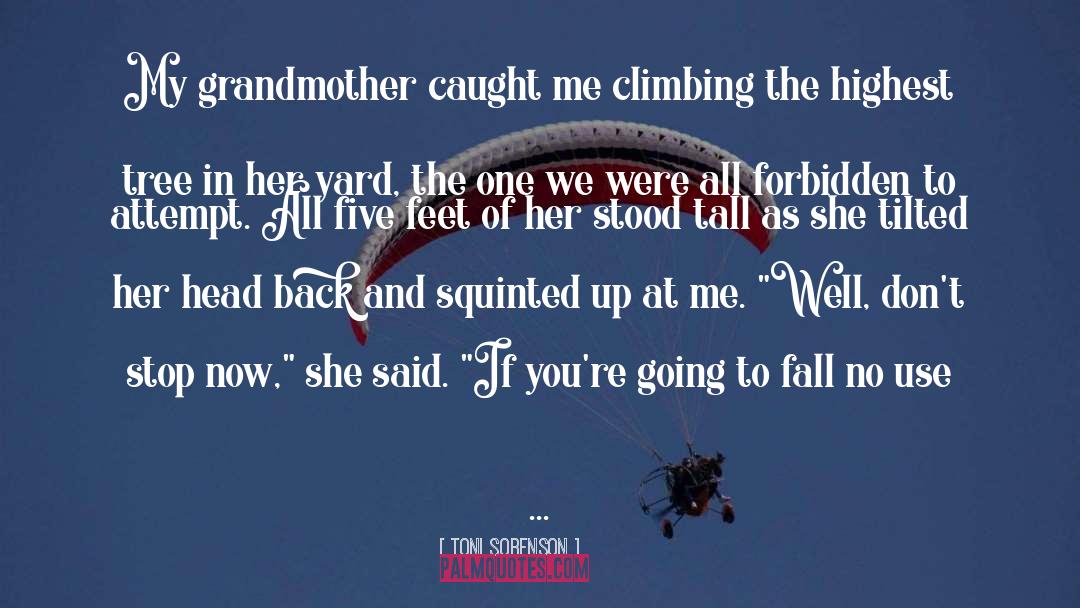 Keep Climbing quotes by Toni Sorenson