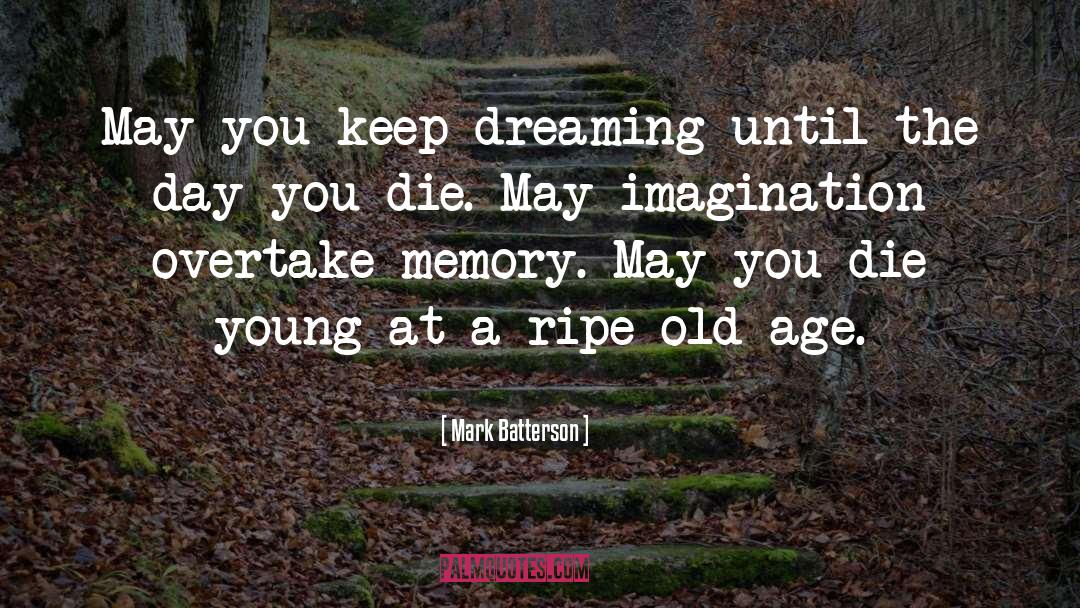 Keep Dreaming quotes by Mark Batterson