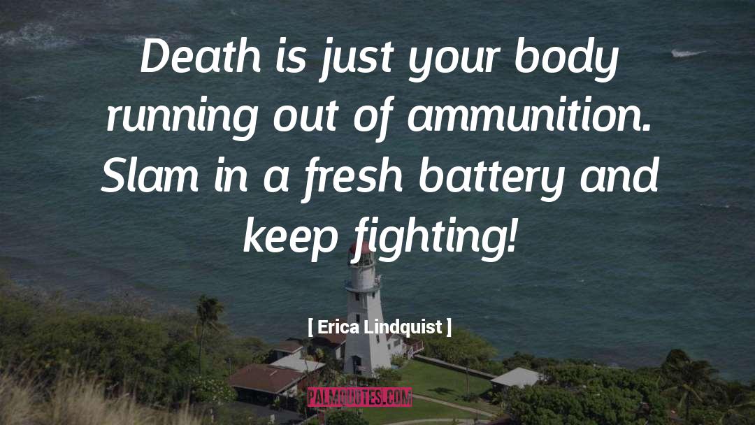 Keep Fighting quotes by Erica Lindquist