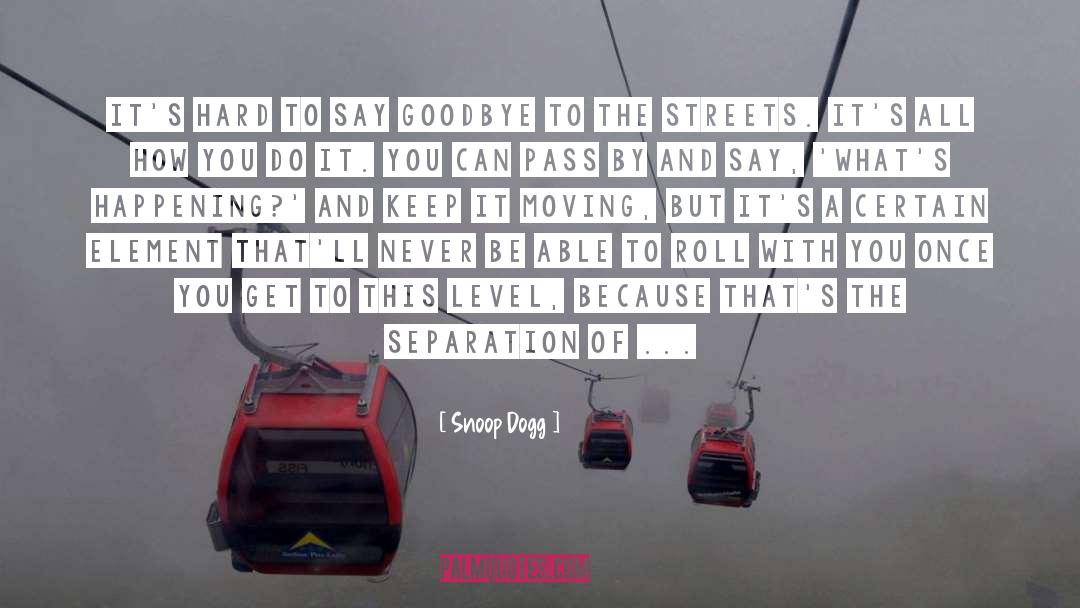 Keep It Moving quotes by Snoop Dogg