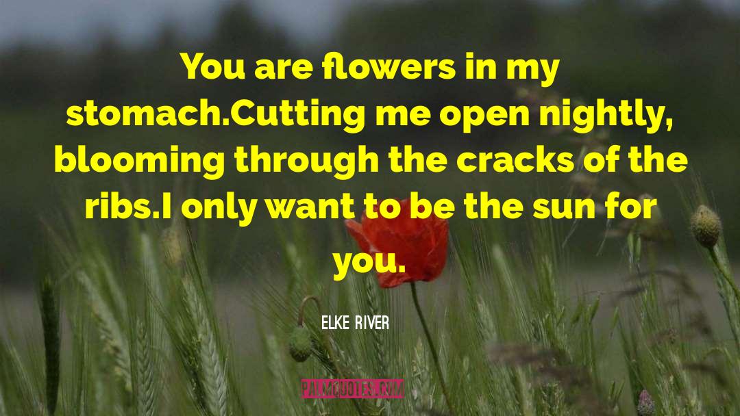 Keep Love Blooming quotes by Elke River