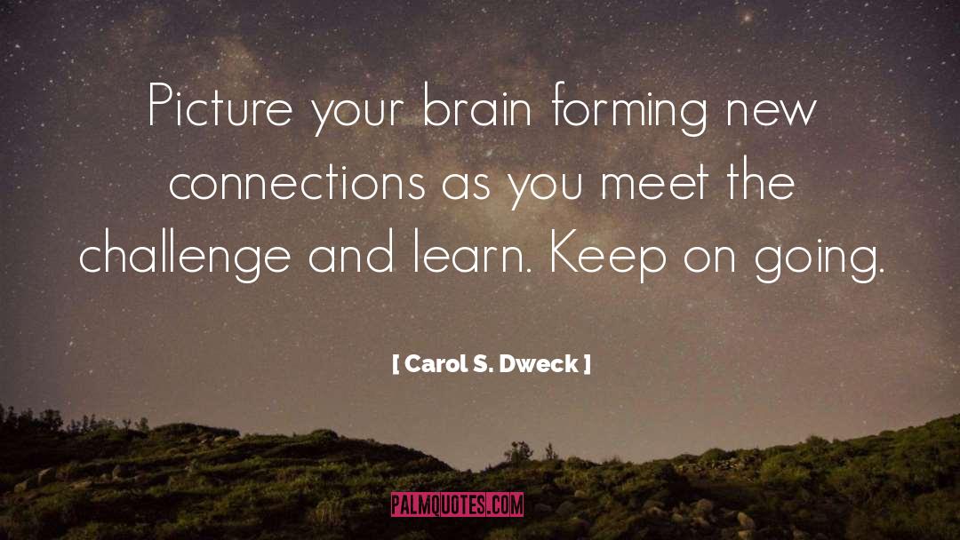Keep On Going quotes by Carol S. Dweck