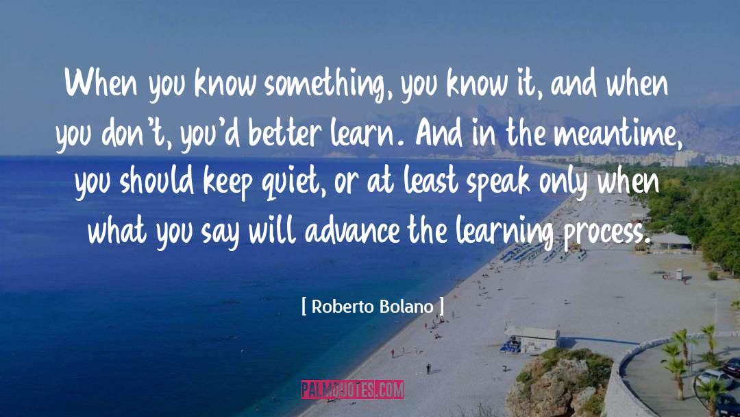 Keep Quiet quotes by Roberto Bolano