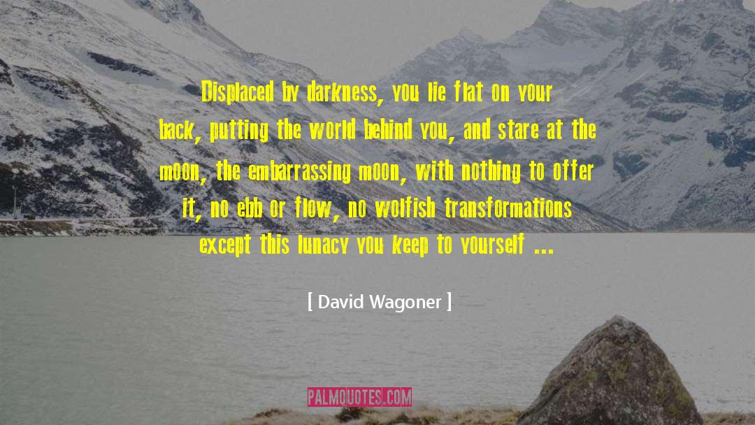 Keep To Yourself quotes by David Wagoner