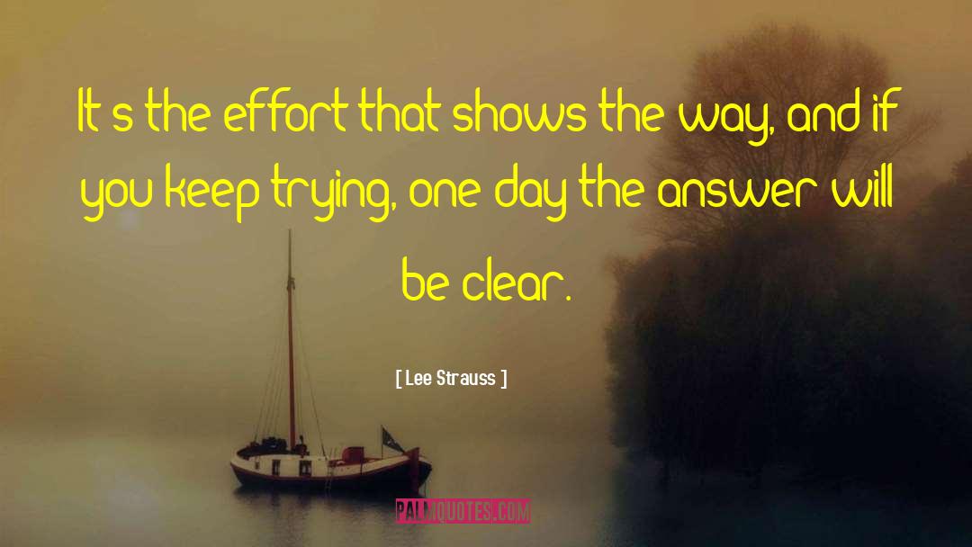 Keep Trying quotes by Lee Strauss