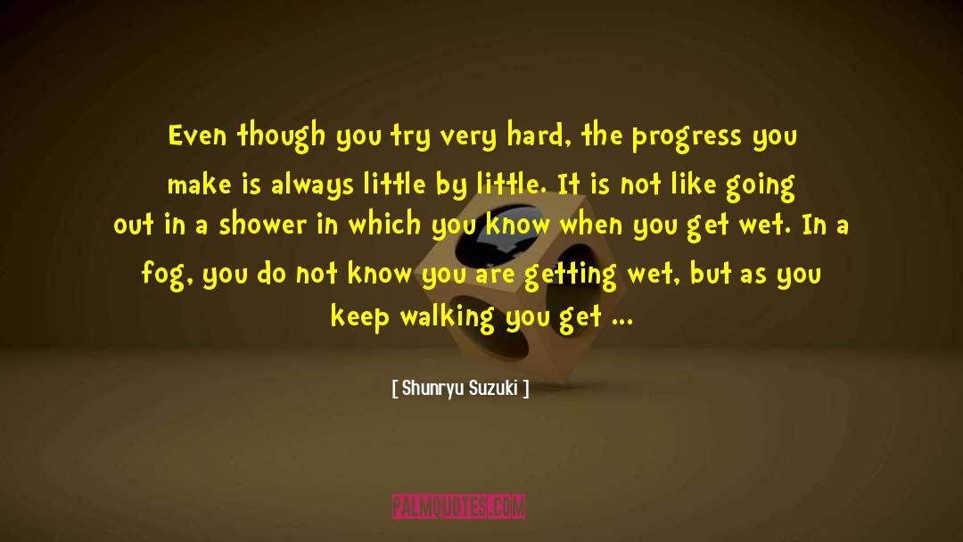 Keep Walking quotes by Shunryu Suzuki