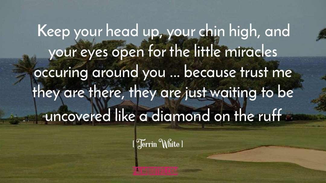 Keep Your Head Up quotes by Terrin White